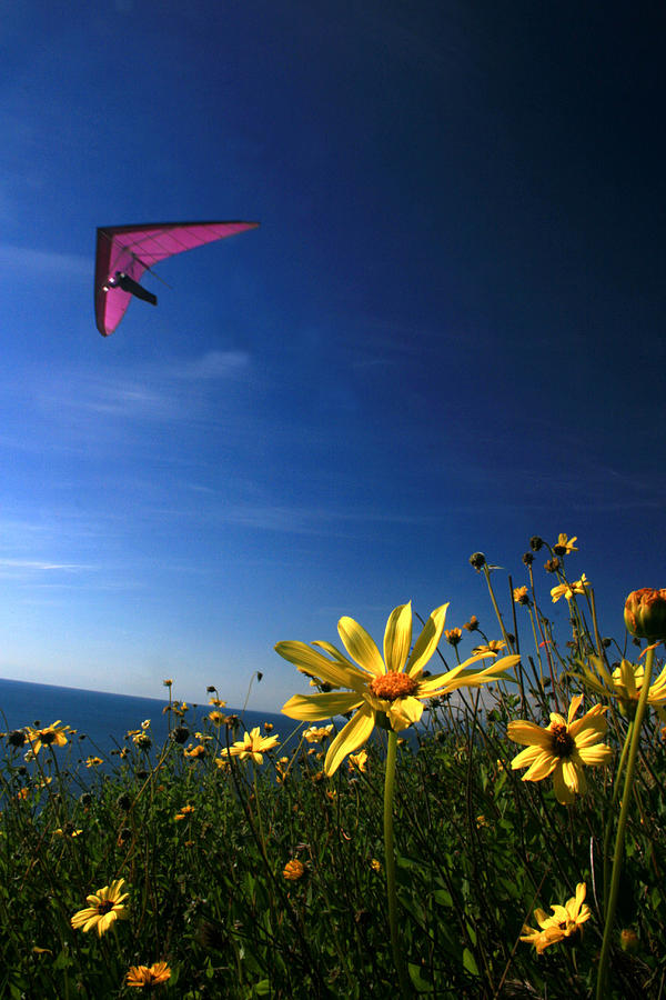 Hang Glider  Photograph by Scott Cunningham