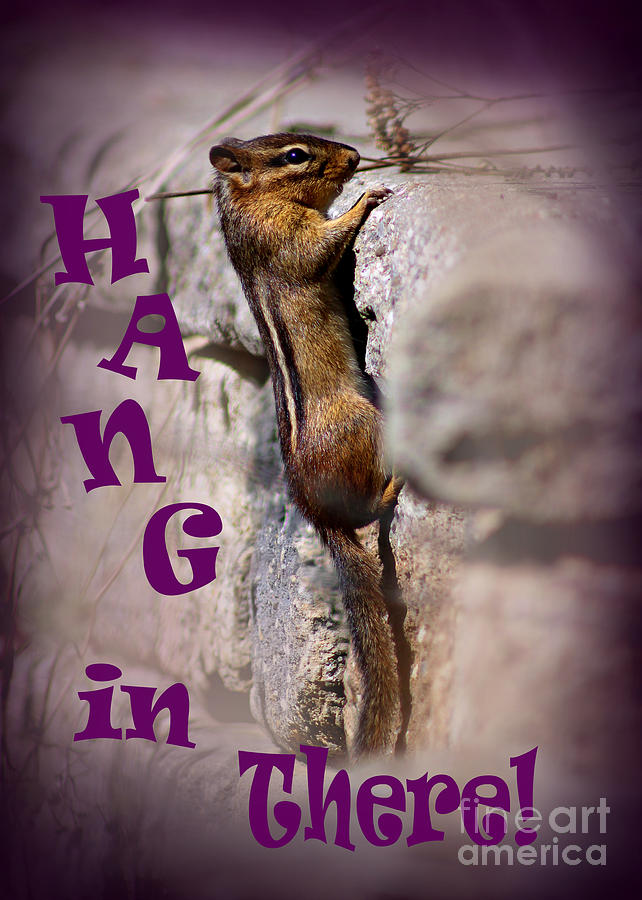 Up Movie Photograph - Hang In There Chipmunk by Karen Adams