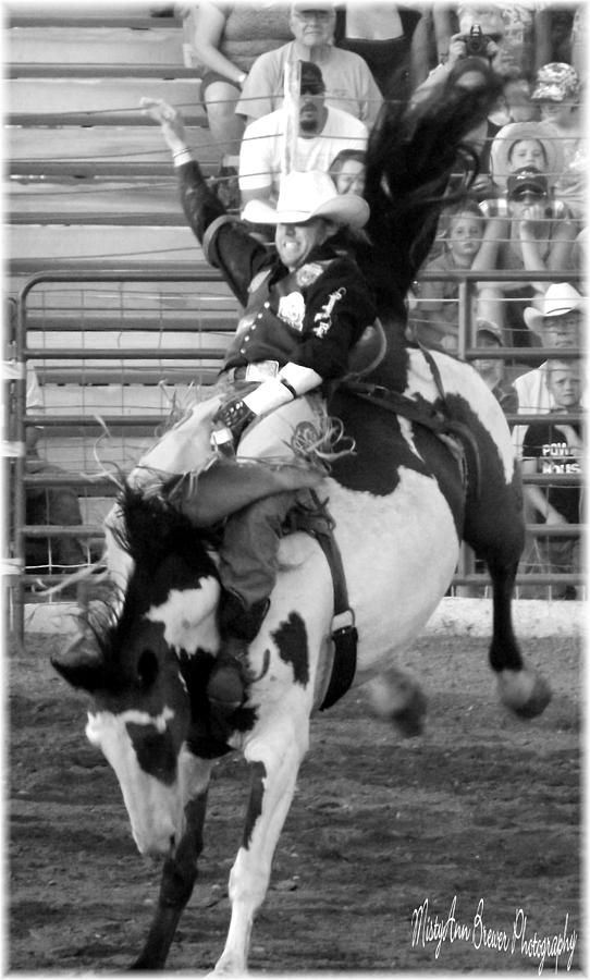 Horse Photograph - Hang on Cowboy by Savannah McCann