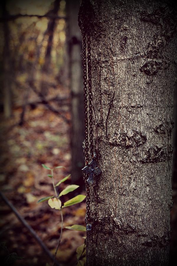 Tree Photograph - Hanging Around by Rebecca Frank