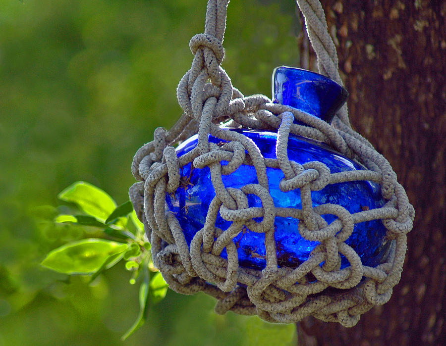 Hanging Blue Bottle Garden Art Photograph by Ginger Wakem