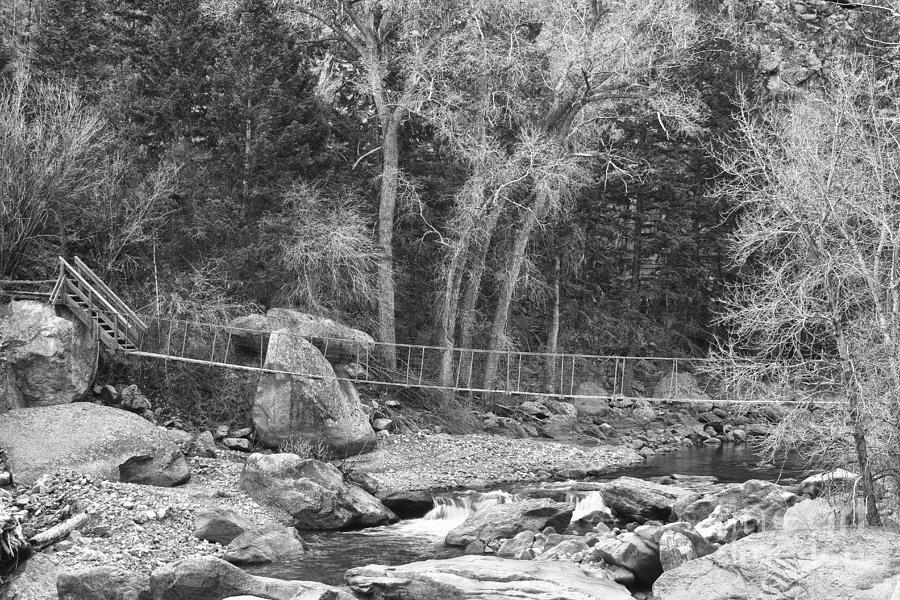 Hanging Bridge In Black and White Photograph by James BO Insogna