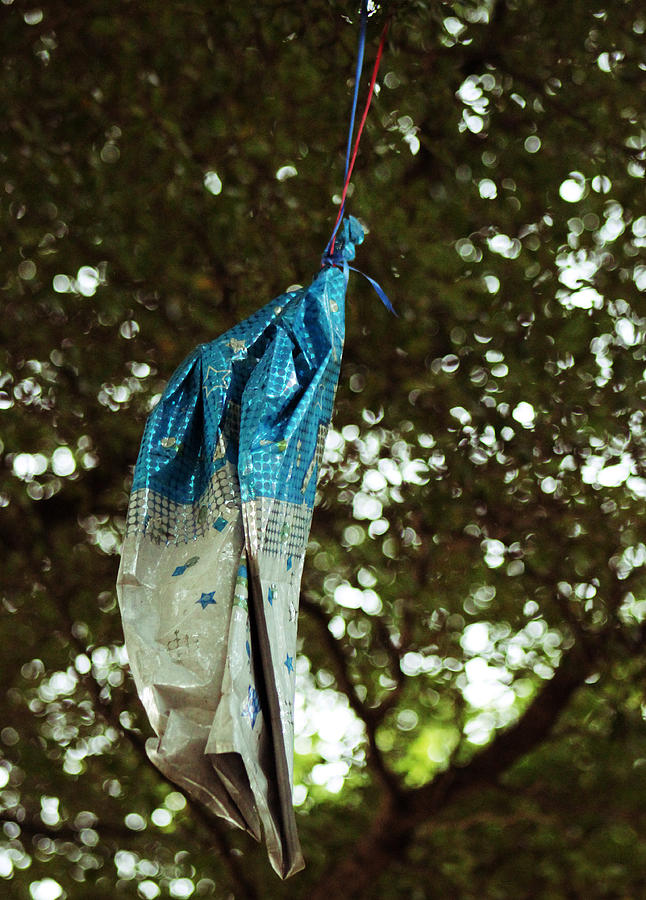 Hanging by a String Photograph by Audrey Robillard