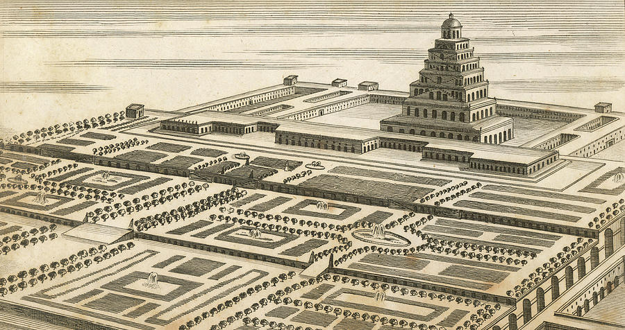 Hanging Gardens Of Babylon Drawing by Mary Evans Picture Library ...