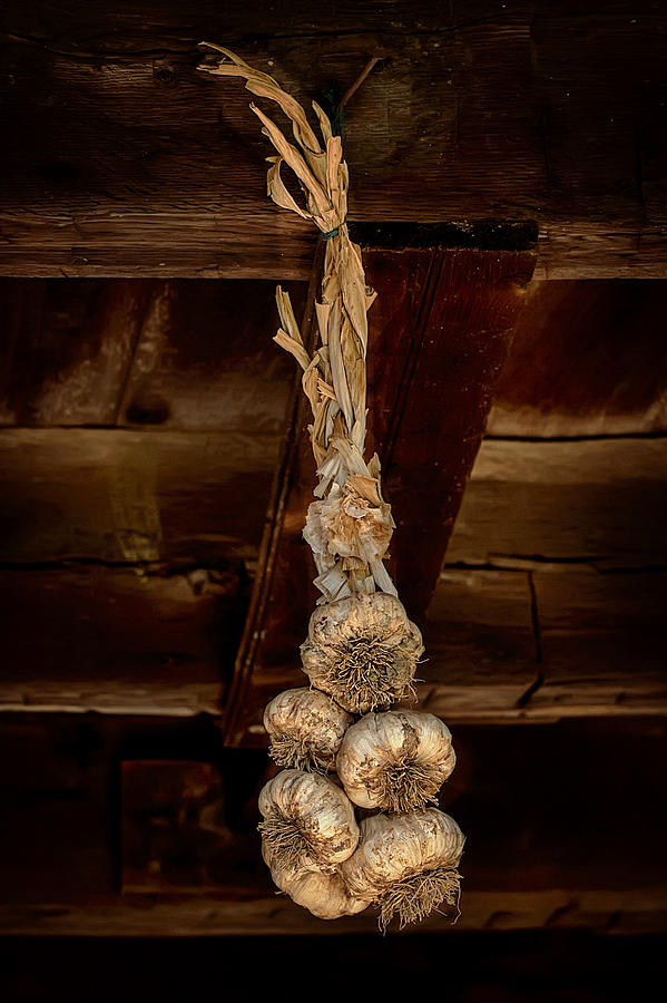 Hanging Garlic Photograph by Gary Slawsky