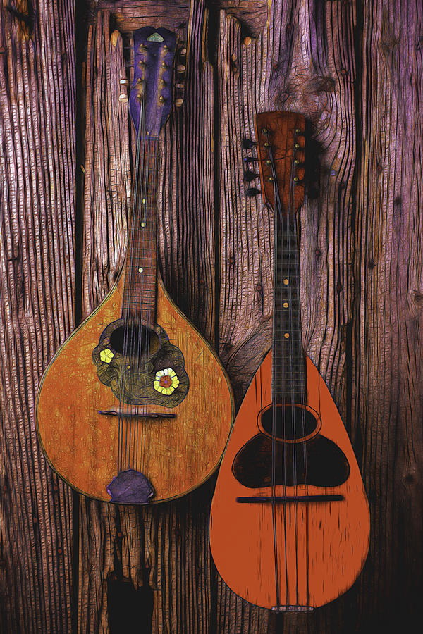Hanging Mandolins Photograph by Garry Gay