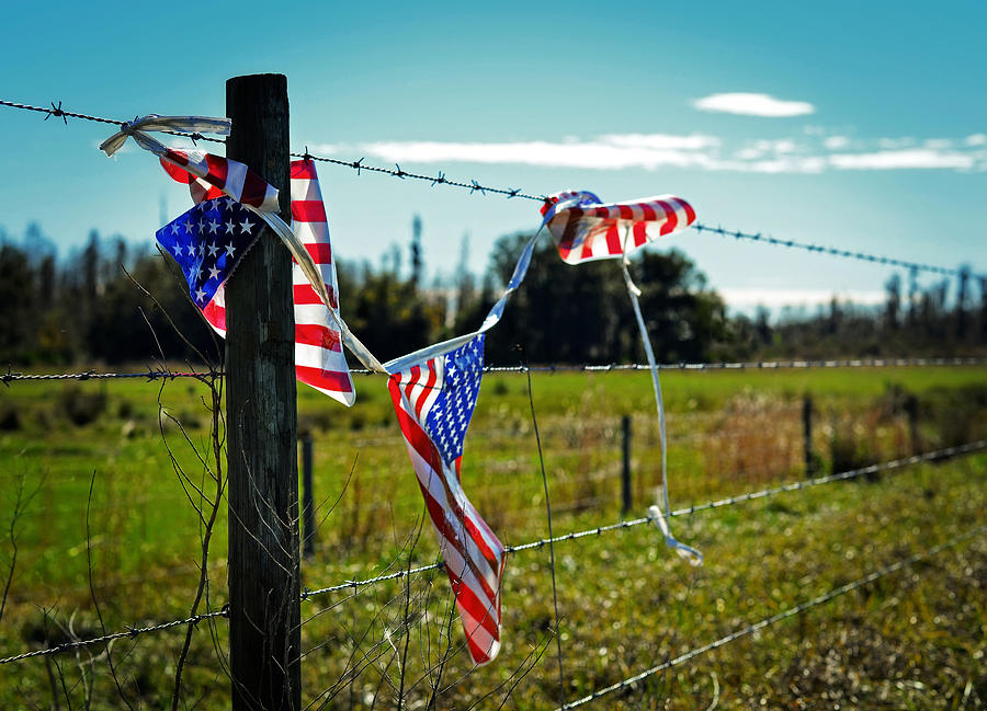 Flag Photograph - Hanging On - The American Spirit by William Patrick and Sharon Cummings by Sharon Cummings