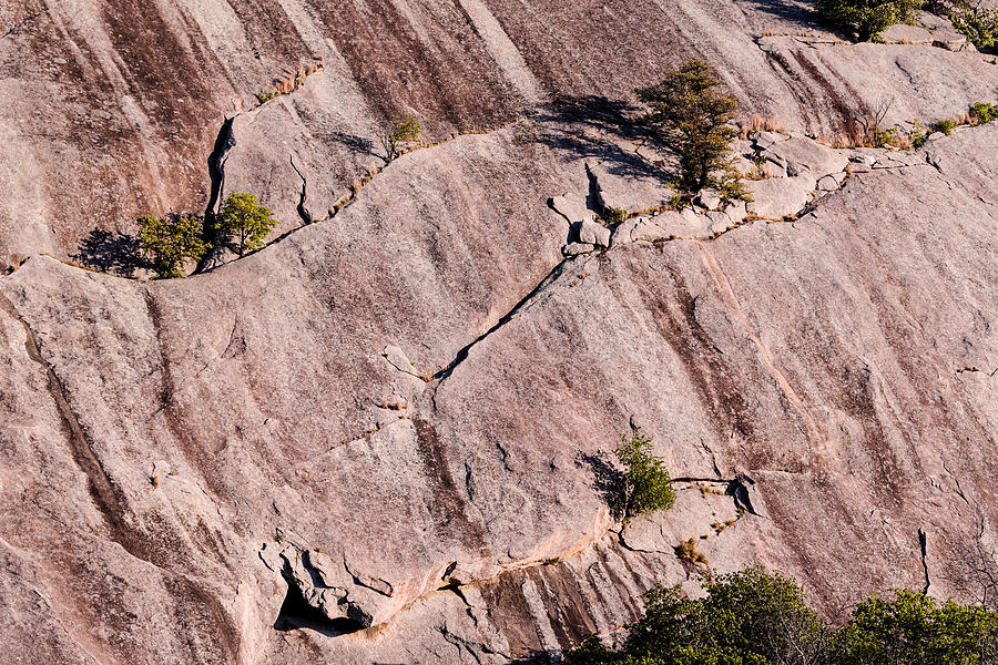 Desert Photograph - Hanging on to Dear Life - Enchanted Rock State Natural Area - Fredericksburg  Llano by Silvio Ligutti