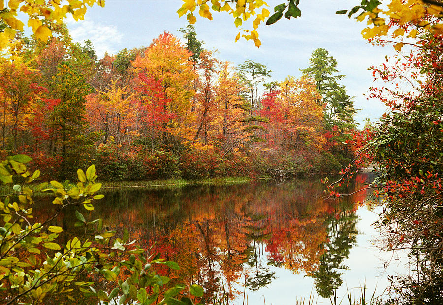 Hanging Rock Lake Photograph by Orange Cat Art - Fine Art America