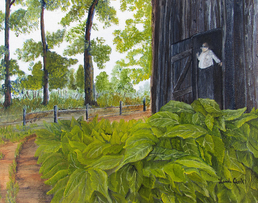 Hanging Tobacco Painting by Linda Clark