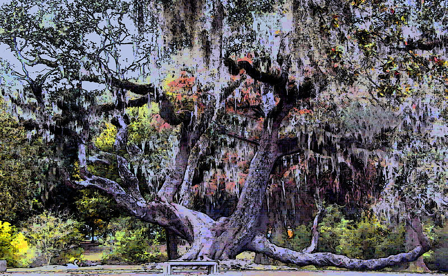 Tree Photograph - Hanging Tree New Orleans by Dennis Tyler