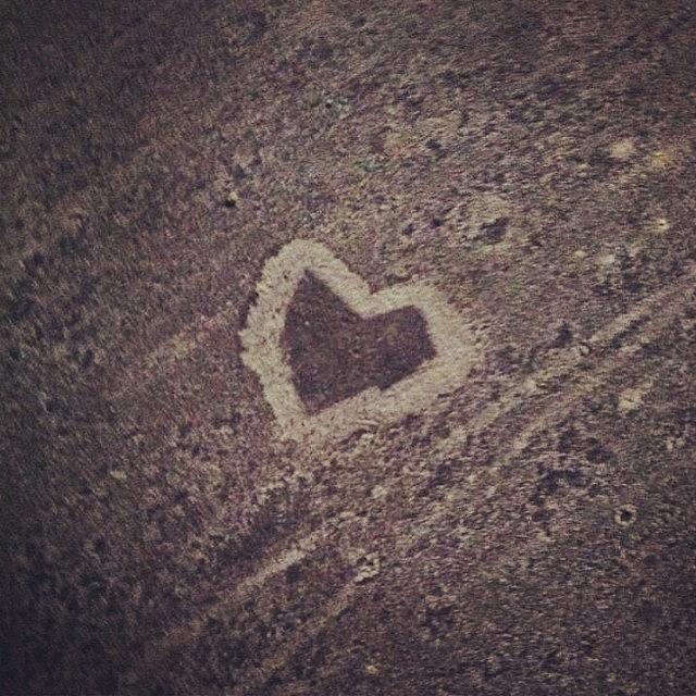 Sams Photograph - Hannah Found This #heart On #sams by Angie Gooding