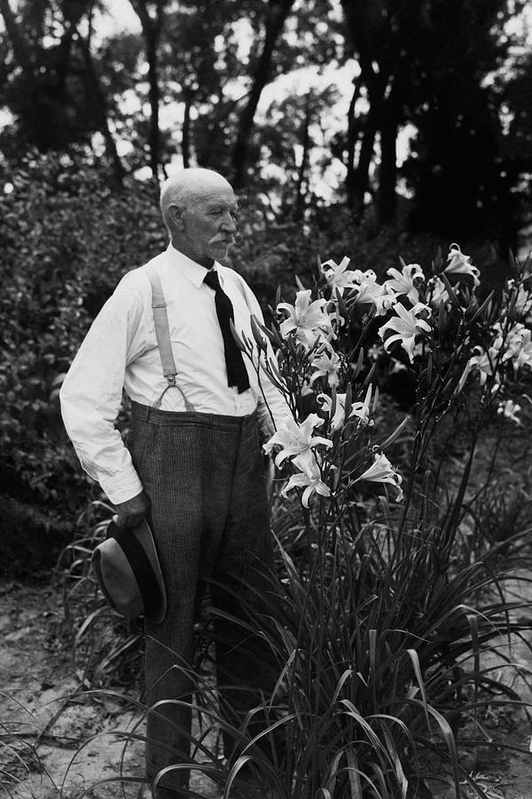 Hans Peter Sass Standing Beside A Flowering Plant Photograph by Fleeta Brownell Woodroffe