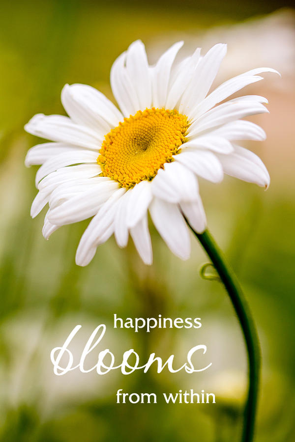 Happiness Blooms from Within Photograph by Teri Virbickis