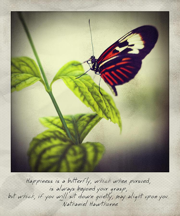 Happiness Is A Butterfly - Nathaniel Hawthorne Polaroid Photograph by Bradley R Youngberg