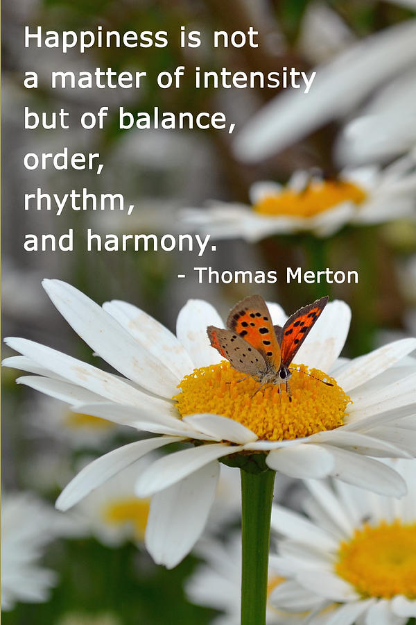 Happiness is Balance Photograph by Beth Sawickie