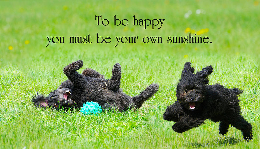 Inspirational Photograph - Happiness. by Kelly Nelson