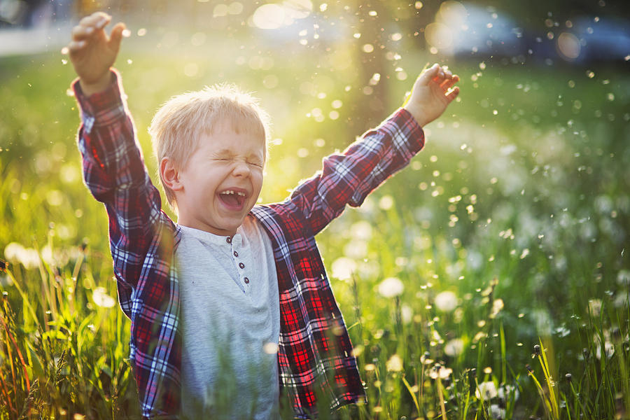 Happiness of a little boy in dandelion field Photograph by Imgorthand