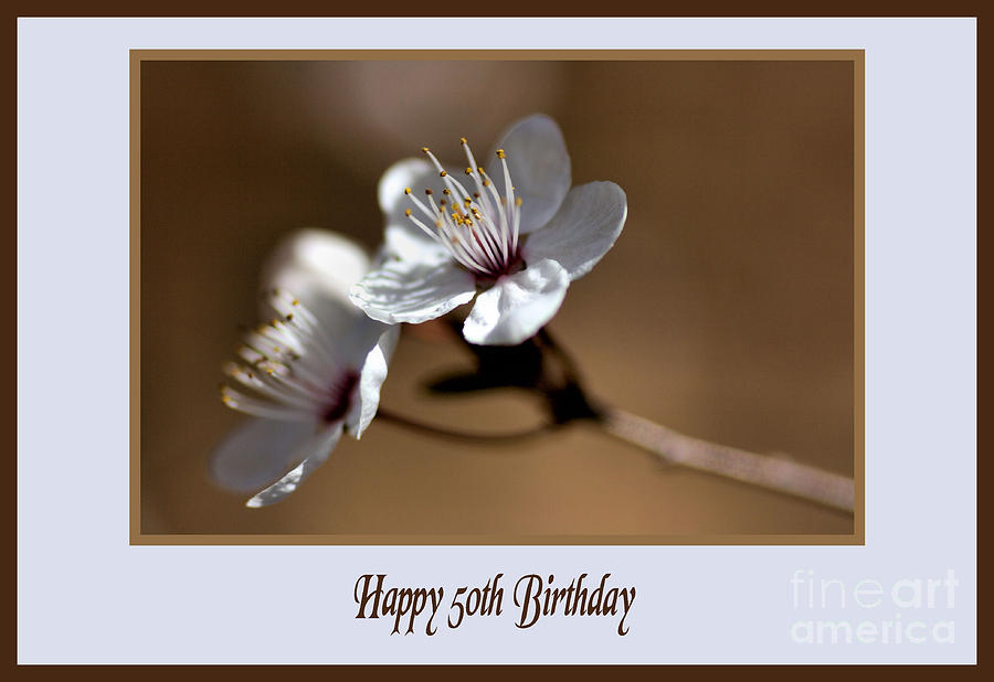 Flower Photograph - Happy 50th Birthday by Joy Watson