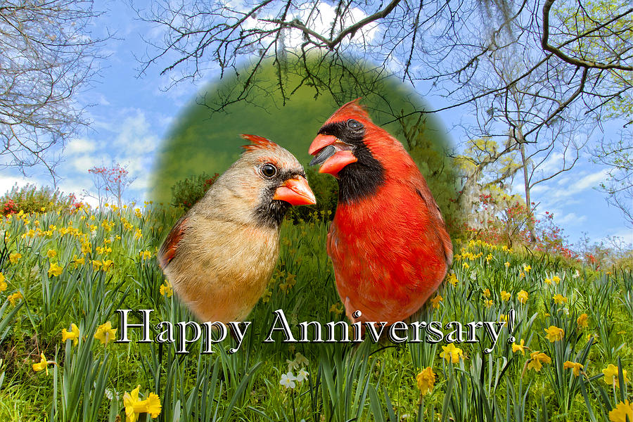 Happy Anniversary Cardinals Photograph by Bonnie Barry