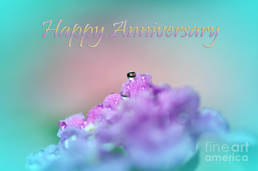 happy anniversary purple