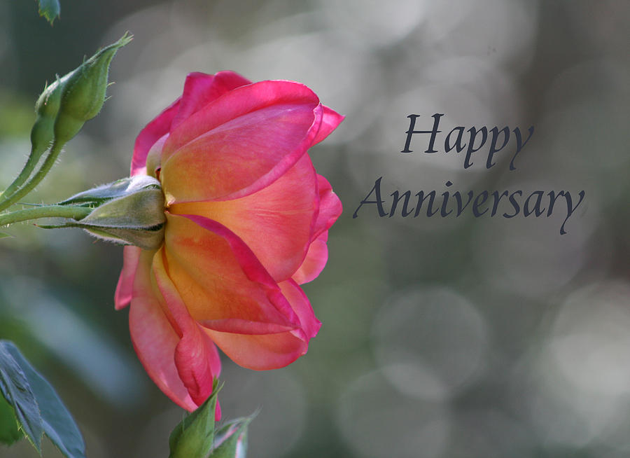 Happy Anniversary Photograph by Marna Edwards Flavell