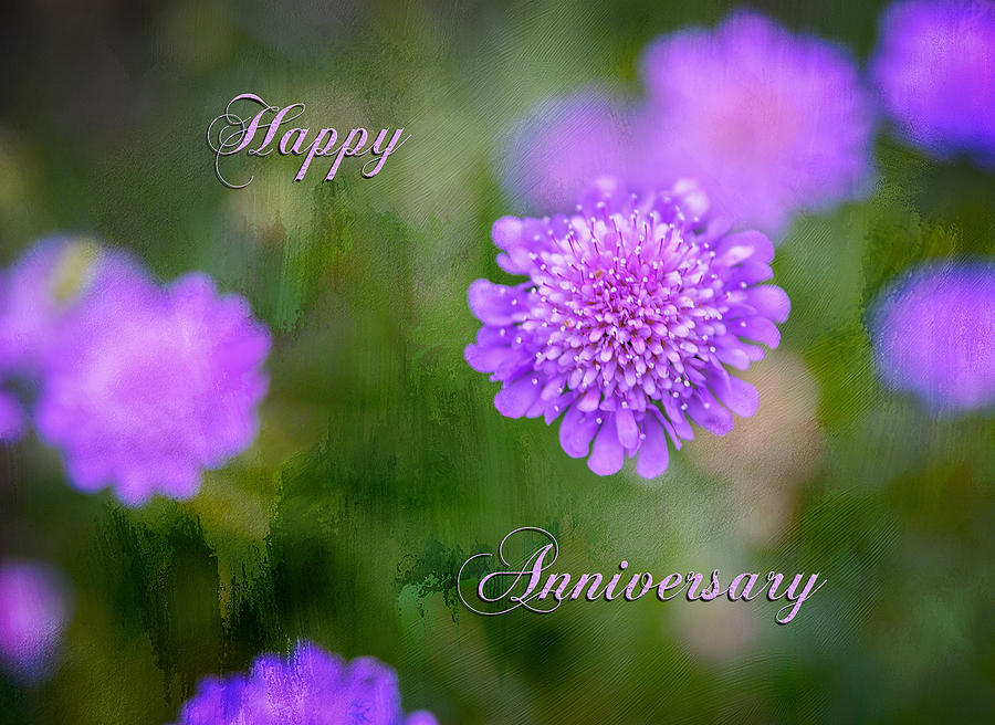 Happy Anniversary Photograph by Mary Timman