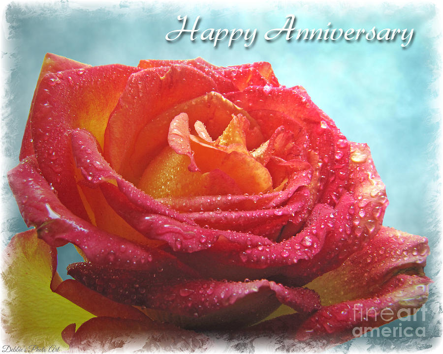 Happy Anniversary Rose Photograph by Debbie Portwood