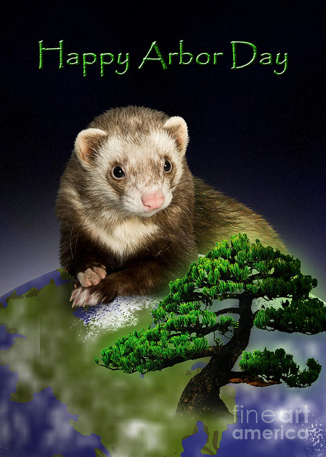 Nature Photograph - Happy Arbor Day Ferret by Jeanette K