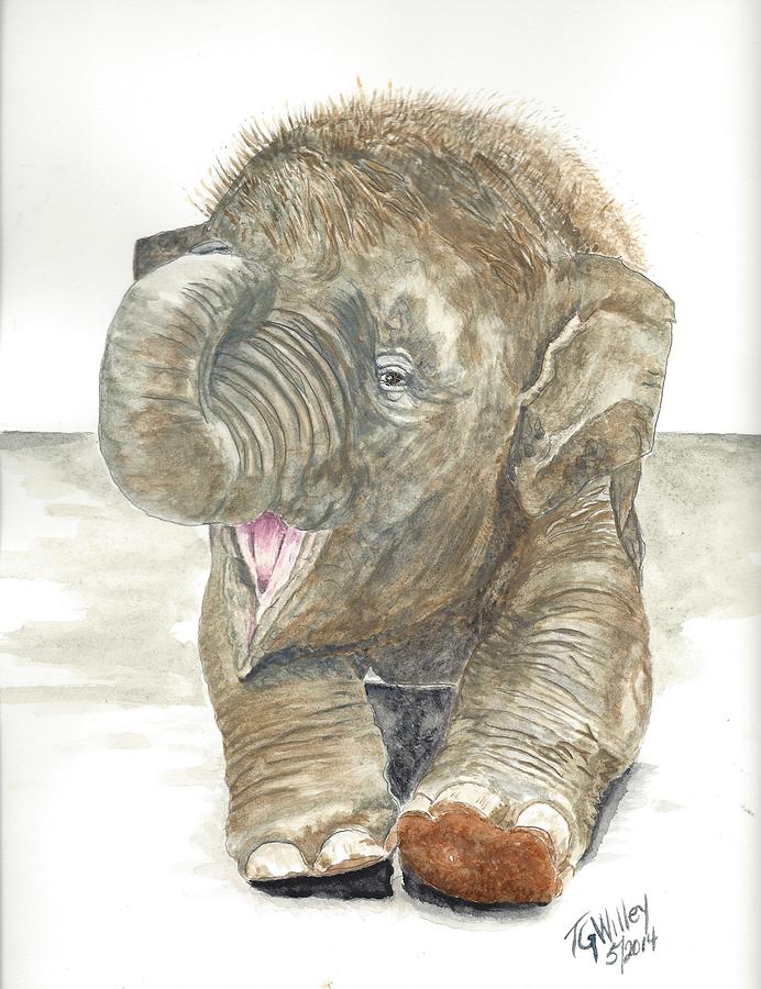 Happy Baby Elephant Painting by Toni Willey