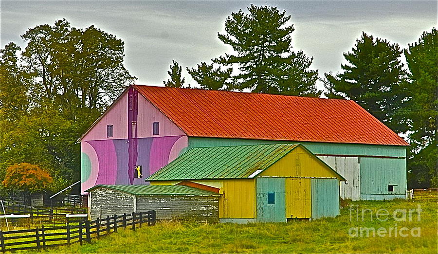 Happy Barn Photograph by Tracy Rice Frame Of Mind