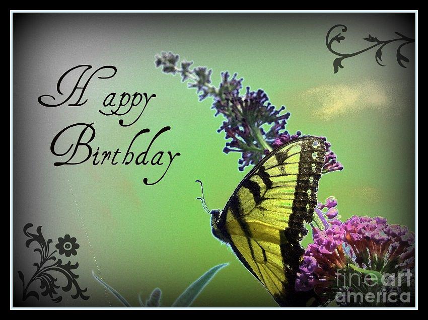 Happy Birthday - Butterfly Photograph by Kassia Ott