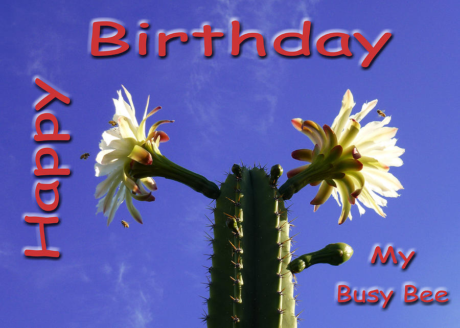 Happy Birthday Card And Print 3 Photograph by Mariusz Kula