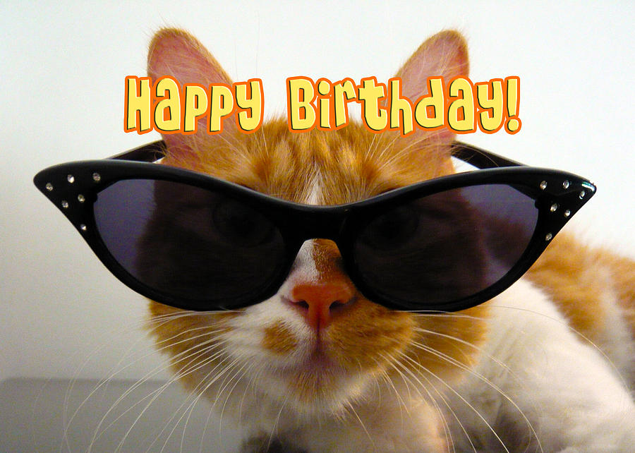 happy-birthday-cool-cat-michelle-dokos.jpg (900×642) | Happy birthday ...