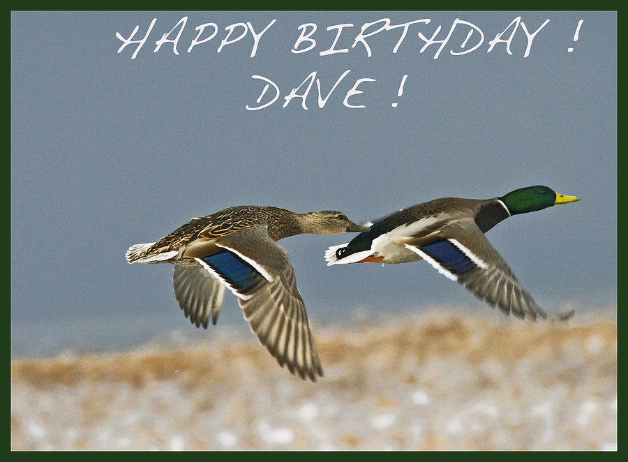 Blog: Happy Birthday, Dave!