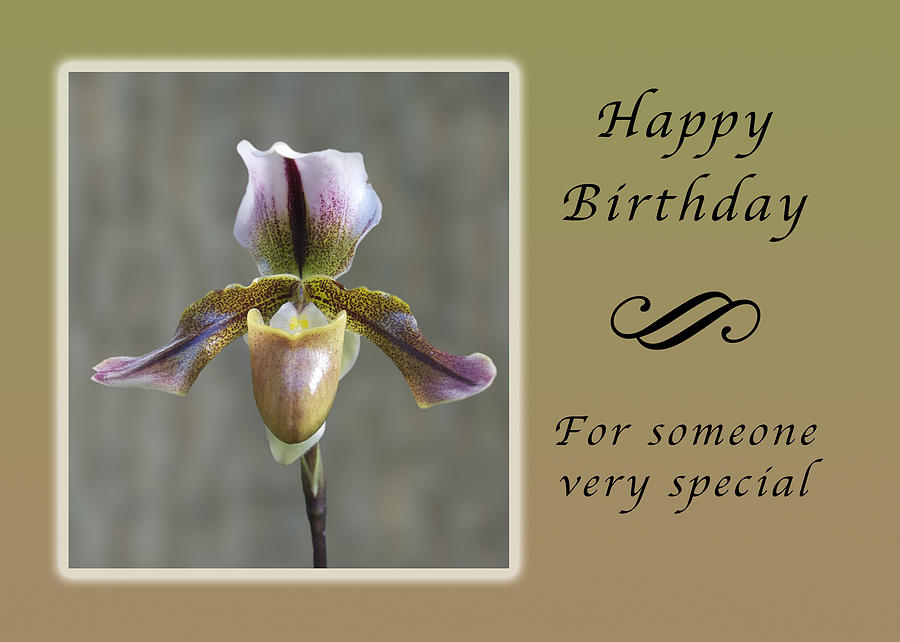 Happy Birthday for Someone Special Photograph by Michael Peychich