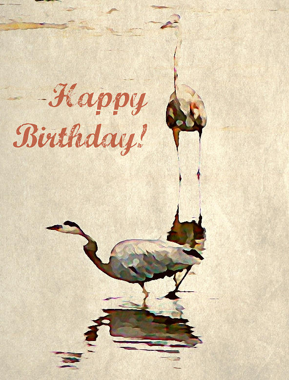 Happy Birthday Herons Photograph by Dark Whimsy