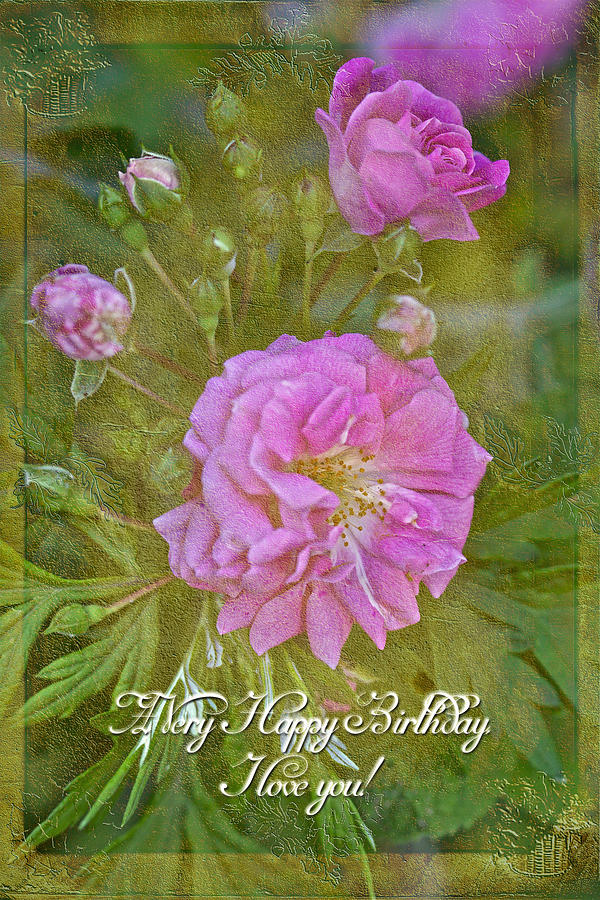 Happy Birthday I Love You Greeting Card - Pink Rose Photograph by Carol Senske