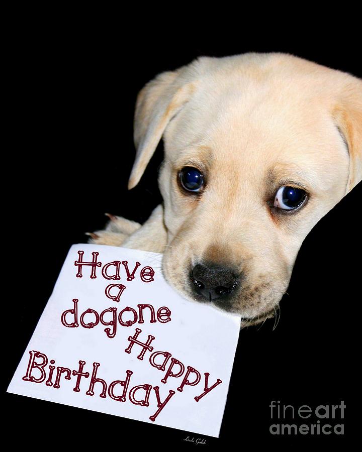 Happy Birthday Puppy Card Photograph