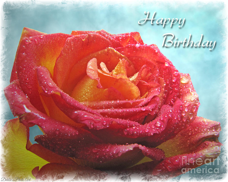 Happy Birthday Rose Photograph by Debbie Portwood