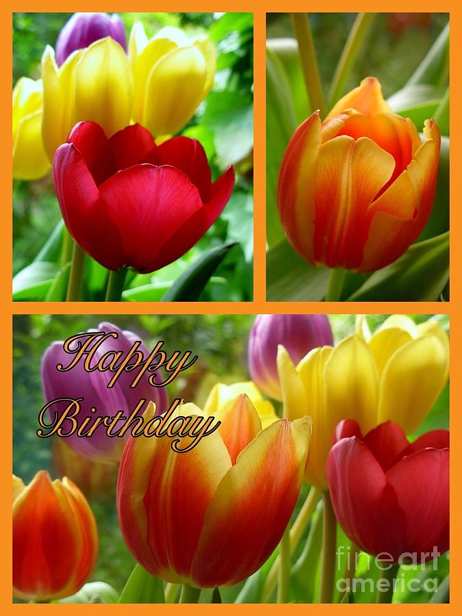 Rainbow Tulips Birthday Greeting 3 Photograph by Joan-Violet Stretch