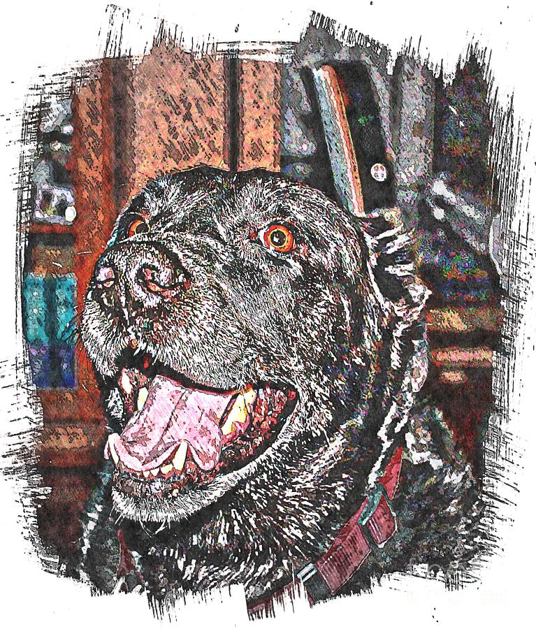 Dog Photograph - Happy Black Lab  by Barbara A Griffin