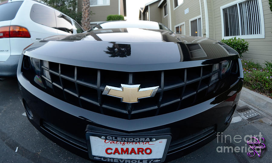 Happy Camero Photograph by Clayton Bruster