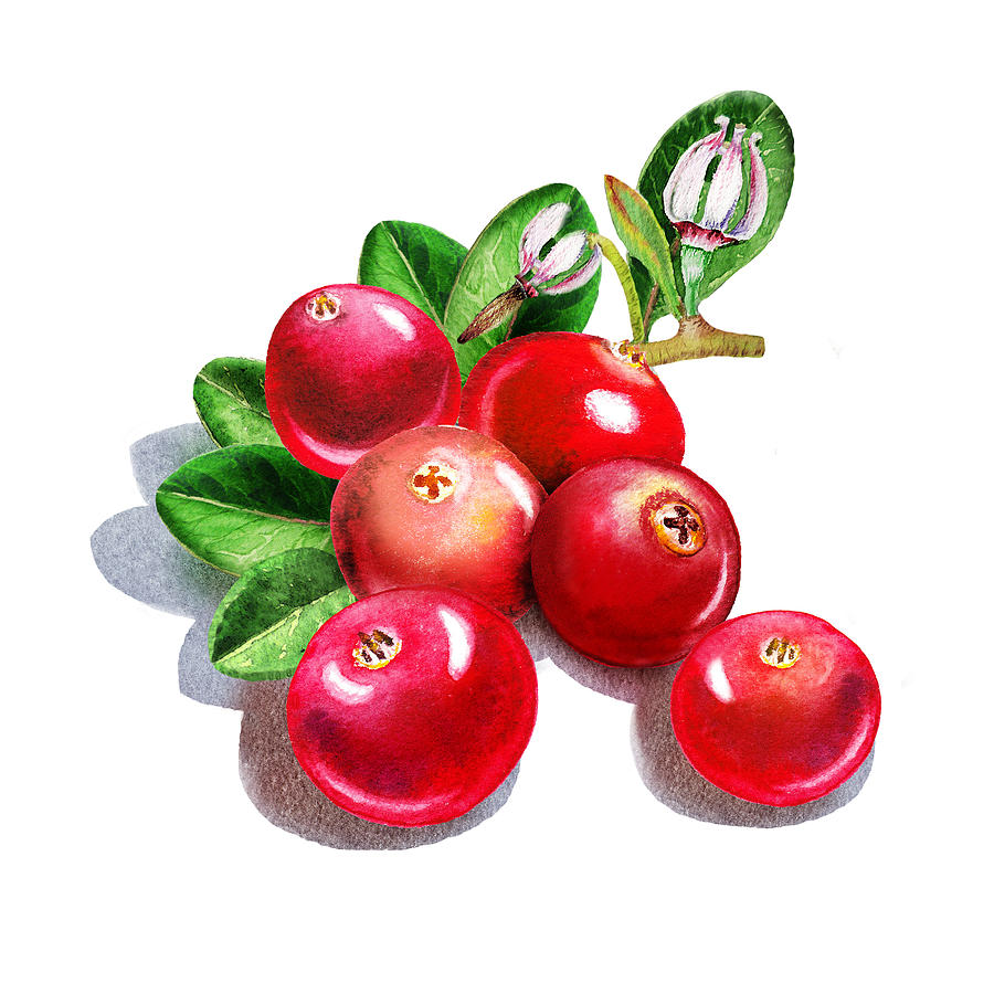 Happy Cranberry Bunch Painting by Irina Sztukowski