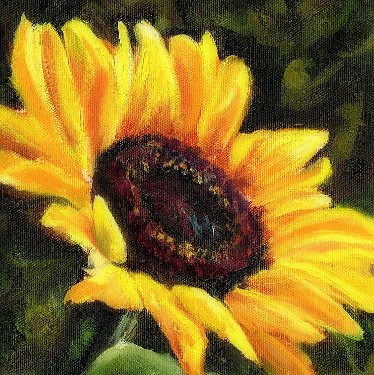 Sunflower Painting - happy Dazes by Kathy Wood