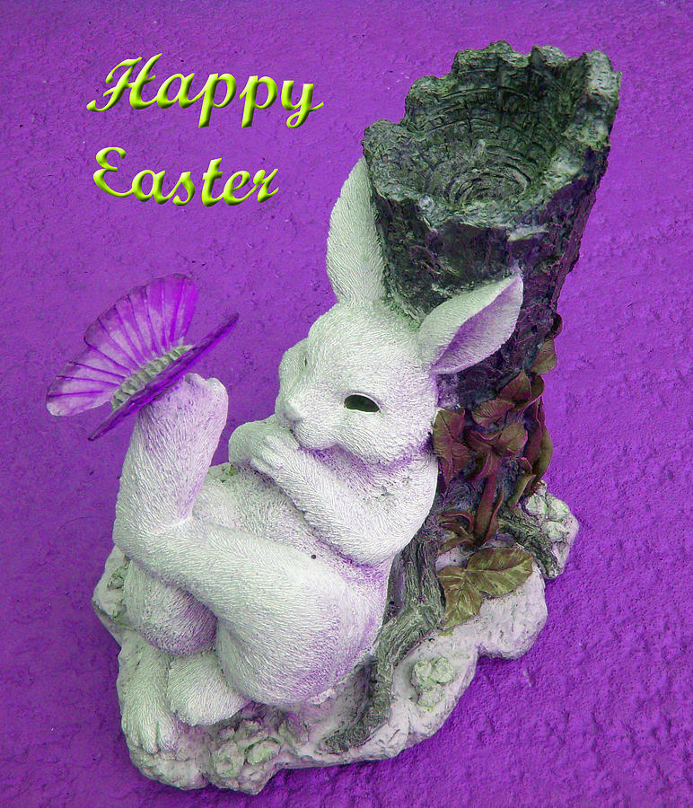 Happy Easter Card 4 Photograph by Aimee L Maher ALM GALLERY