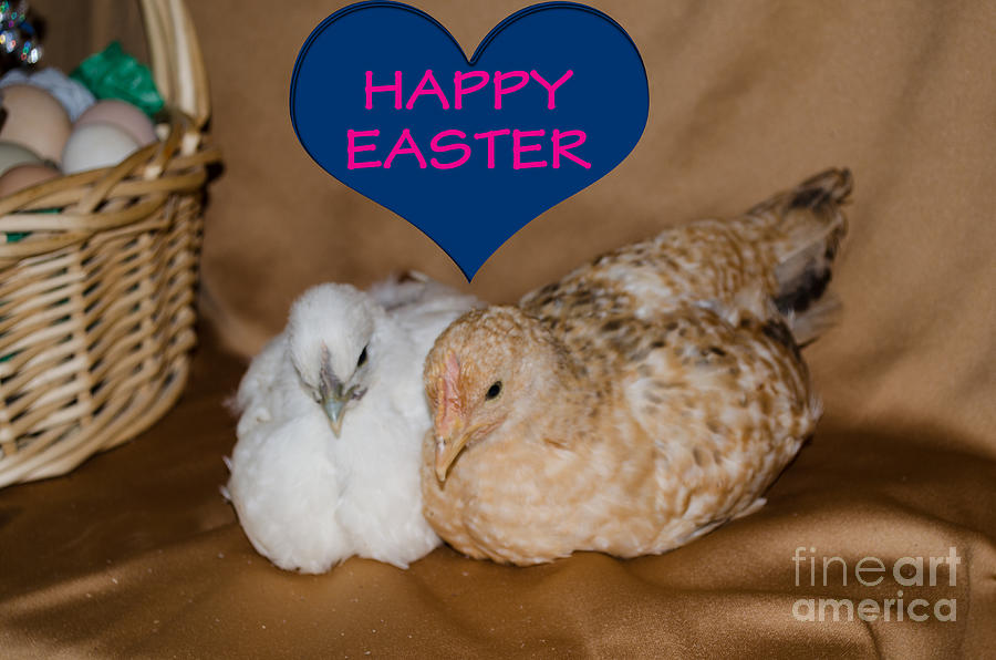 Happy Easter Photograph by Donna Brown