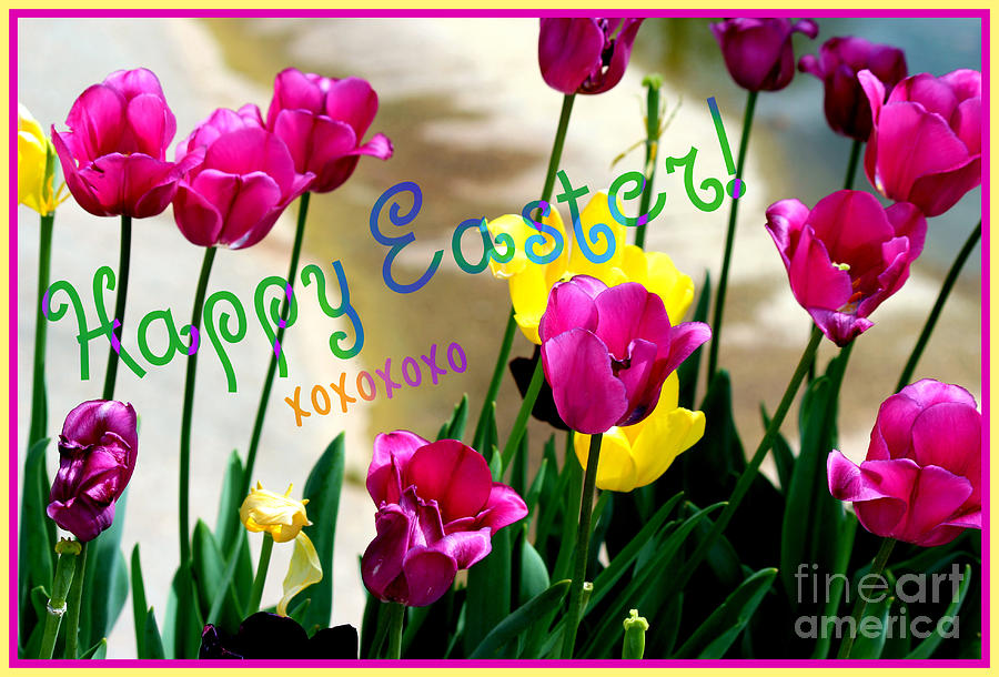 Happy Easter Greeting Card Photograph by Kathy  White