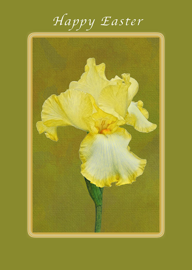 Happy Easter Yellow Iris Photograph by Michael Peychich