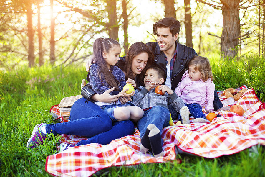 Happy family enjoying in picnic day in the forest. Photograph by Eli_asenova